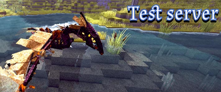 Test Server